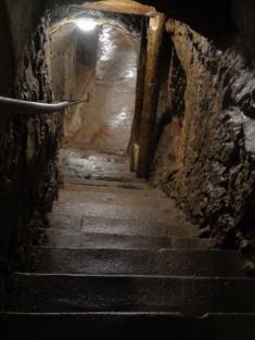 Zájezd do Jihlavského podzemí a ZOO