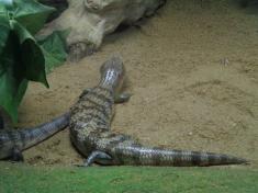 Zájezd do Jihlavského podzemí a ZOO